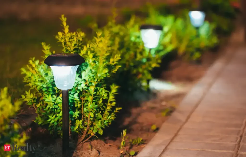 Solar Lights for Garden